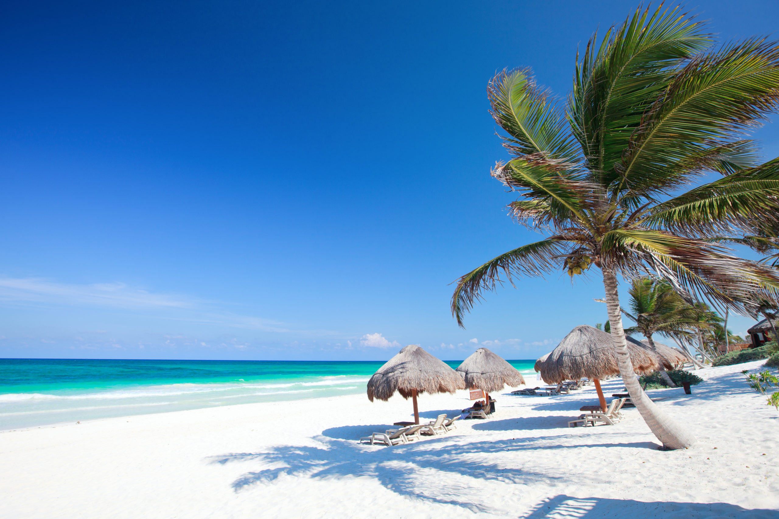 Beautiful Caribbean beach