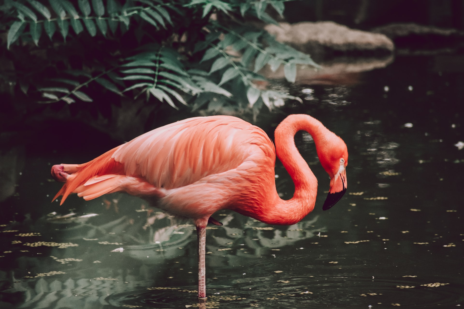 morgan-newnham-KBw-uM15mkk-unsplash