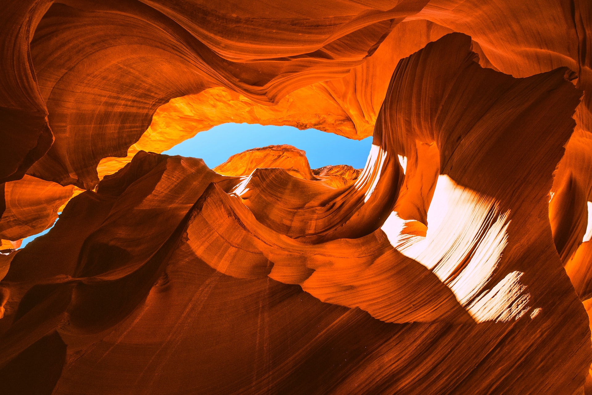 fudo-jahic-PQf2Vv7xWjo-unsplash