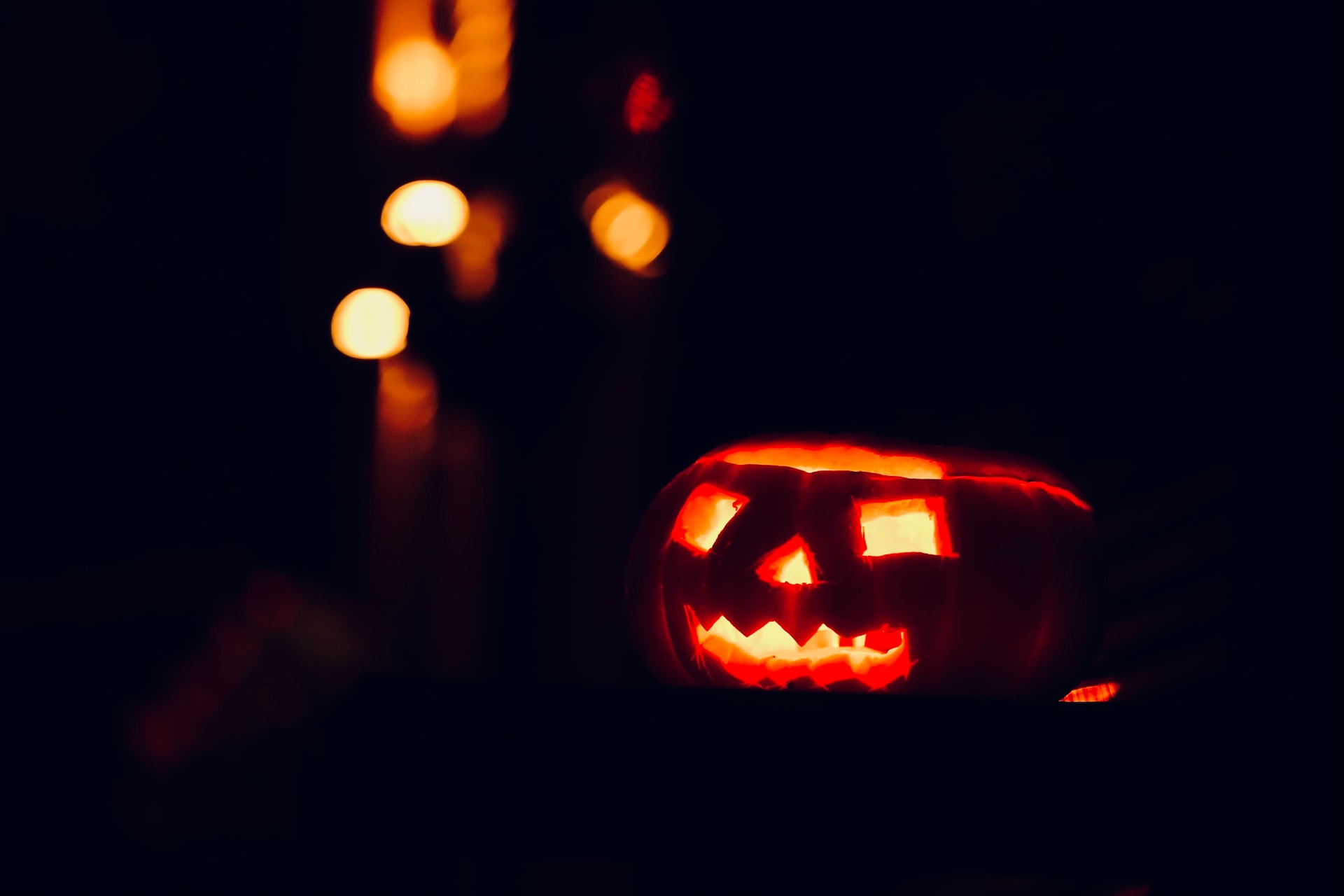 miguel-teirlinck-qeiyUaSX6fk-unsplash