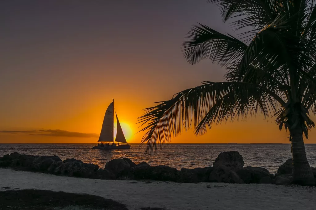 jonathan-wheeler-TkGZFU2t9gc-unsplash