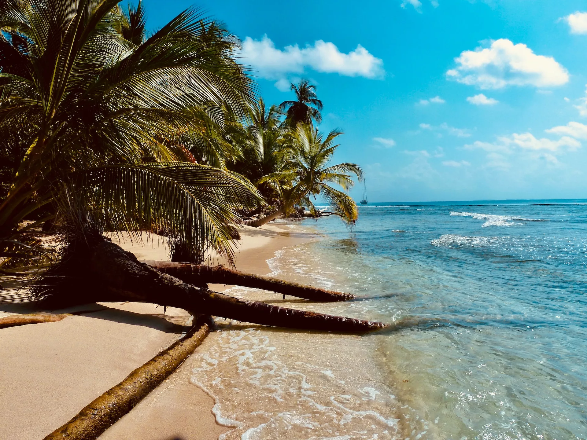 azzedine-rouichi-qAasDdTu_Sg-unsplash