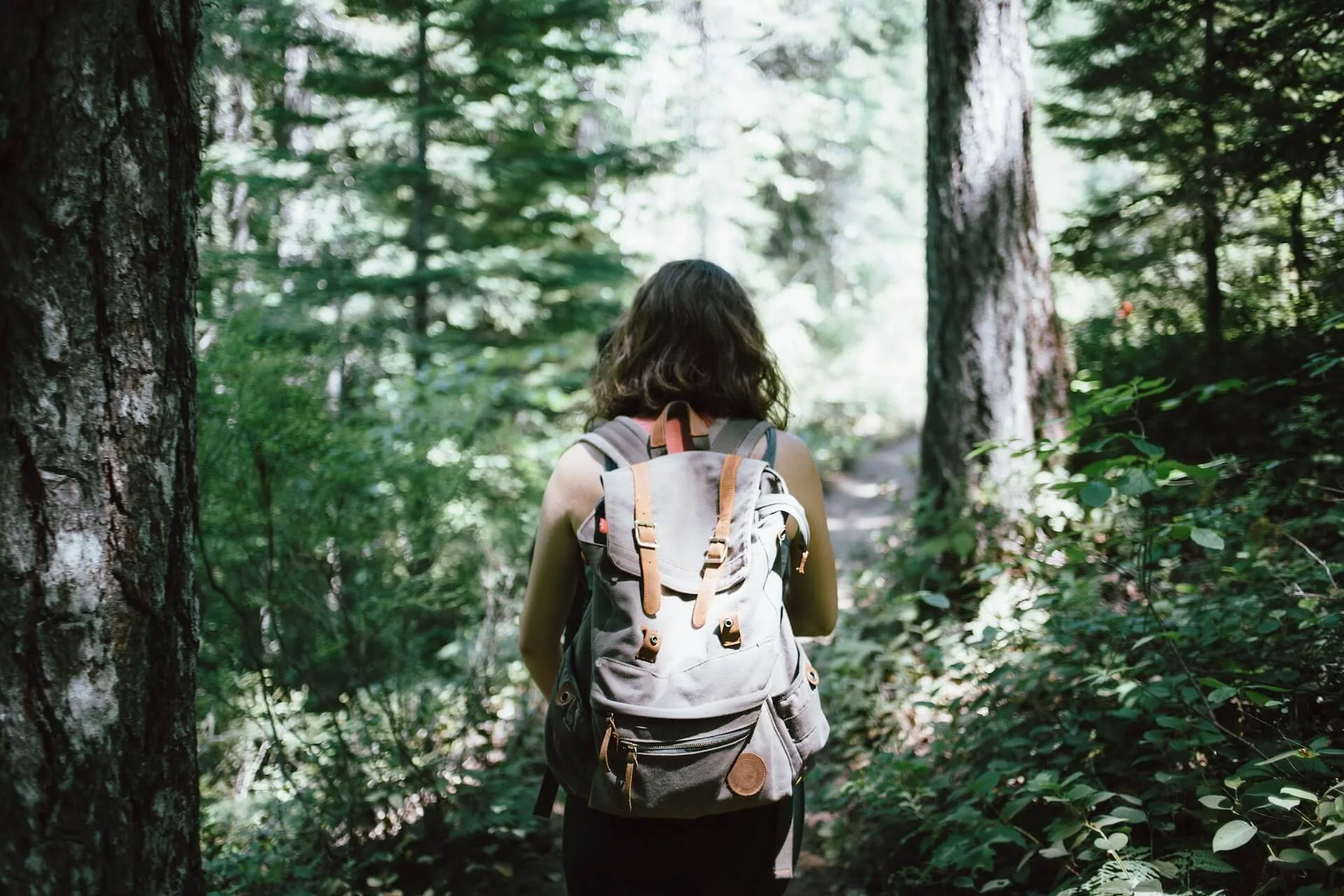 the back of a woman hiking through the woods