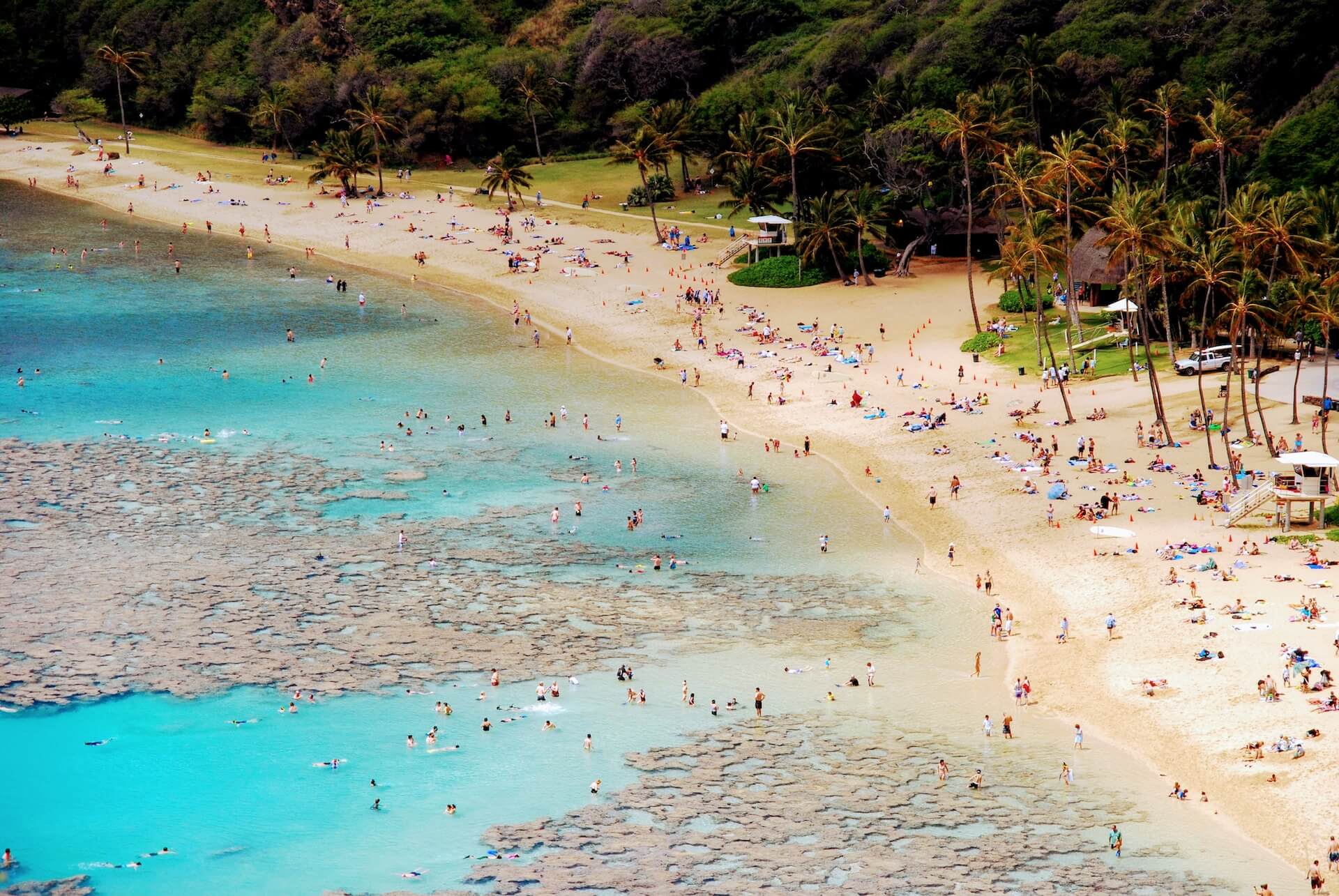 crowded hawaii beach