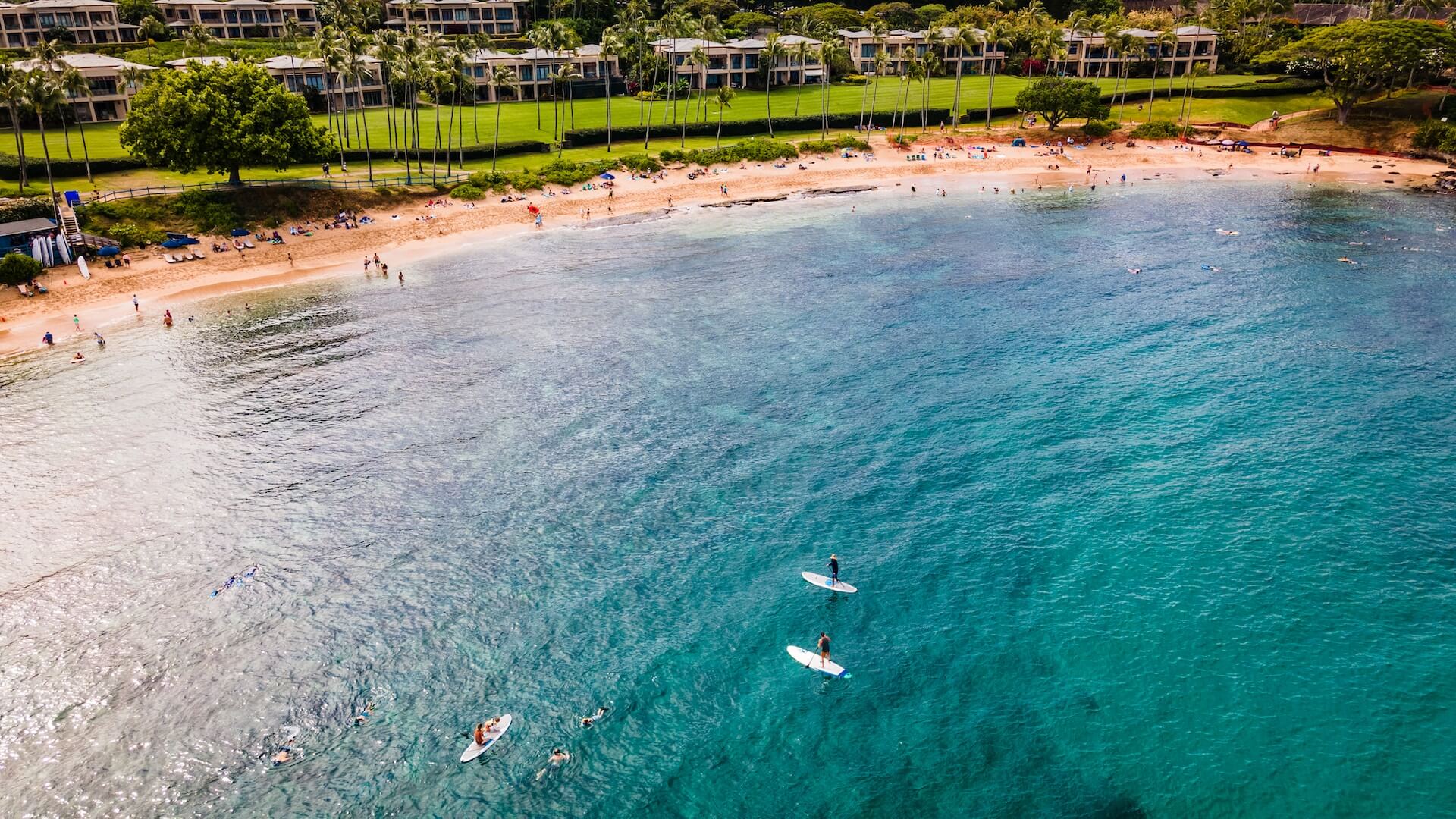 aerial view of paddle boarders off of the coast of hawaii