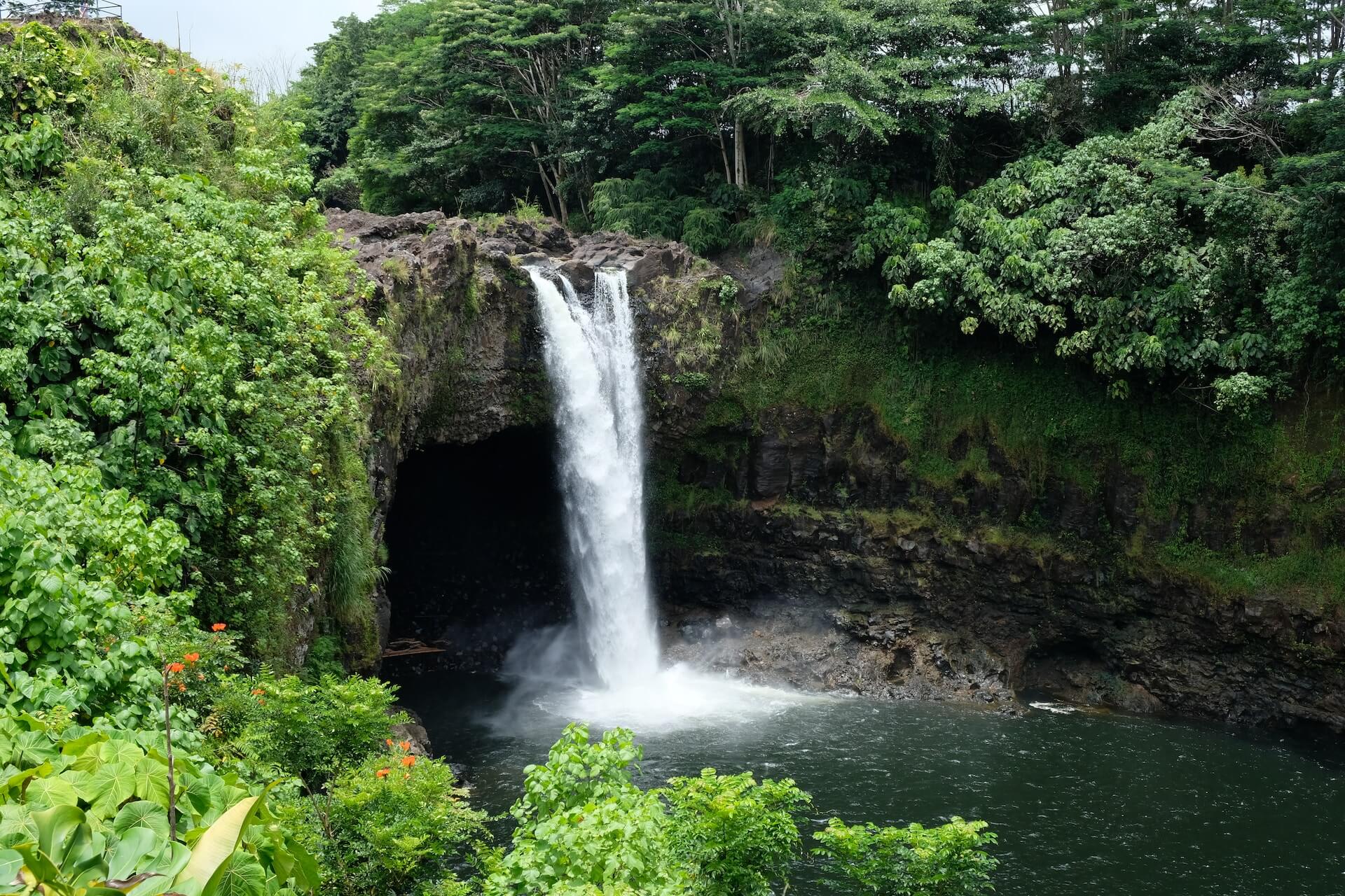 hawaii waterfall in the forest