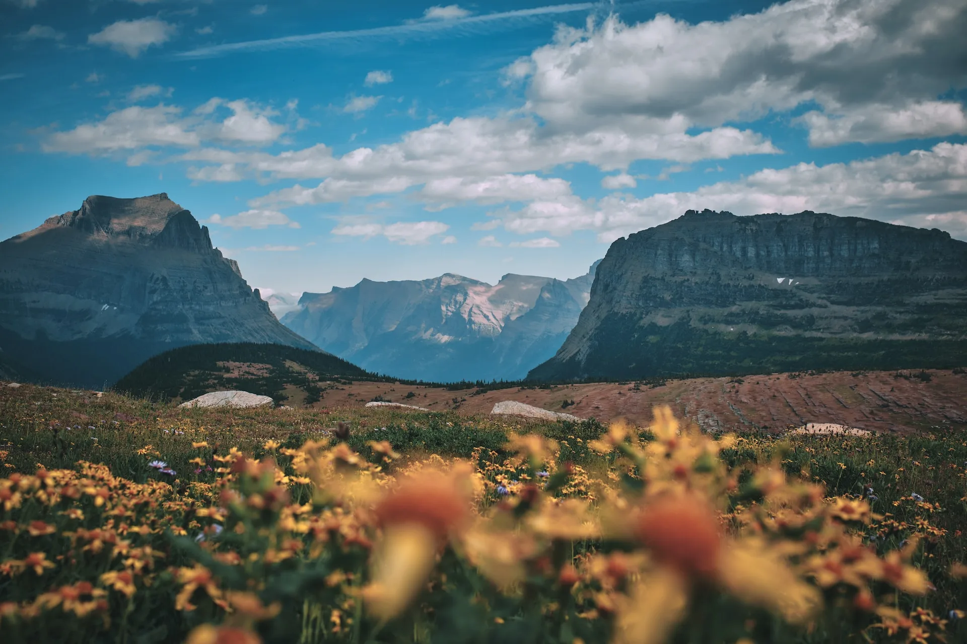 hans-hamann-J5Un_5331bg-unsplash