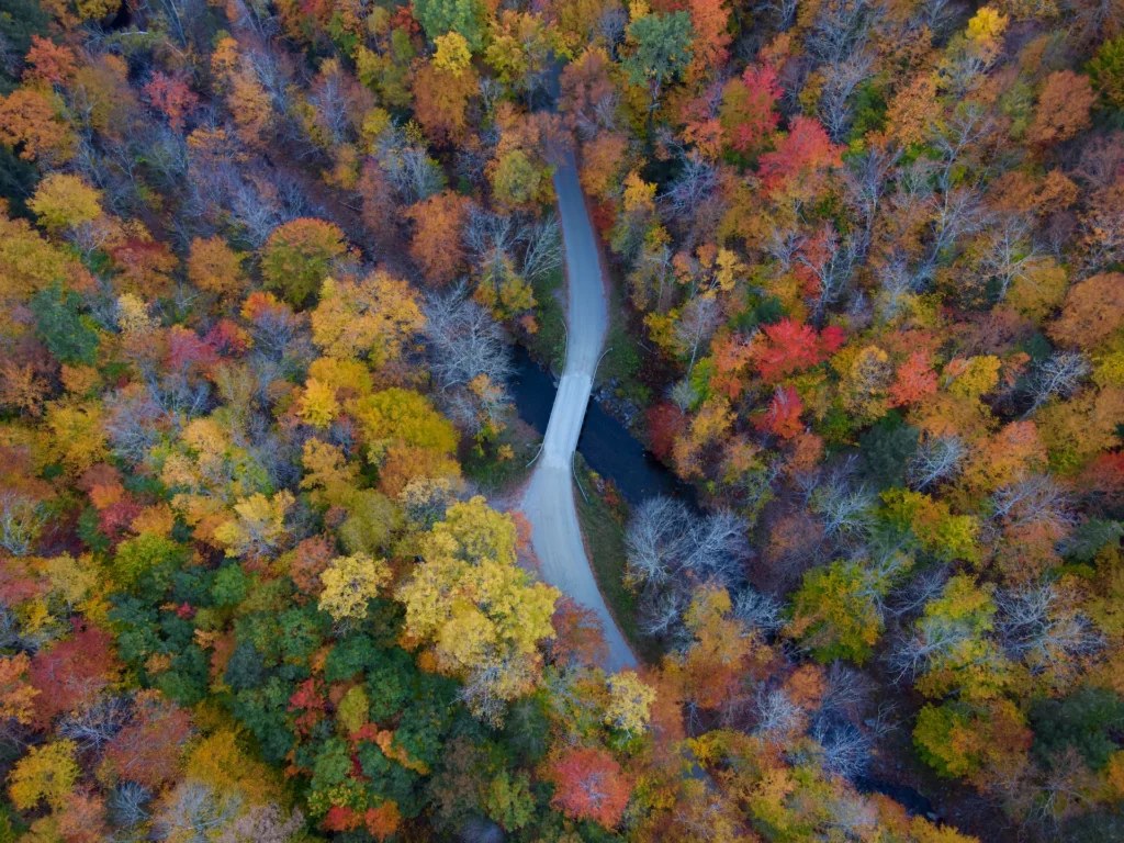 tom-dils-n5ze51K3Kb8-unsplash