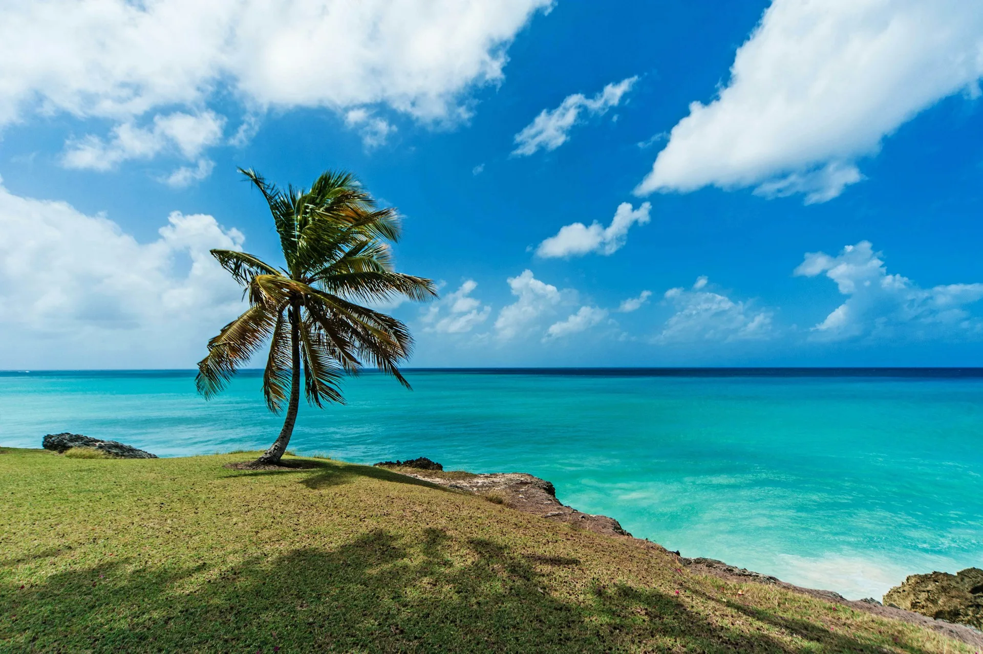 tom-jur-oq6FoIbSbCs-unsplash